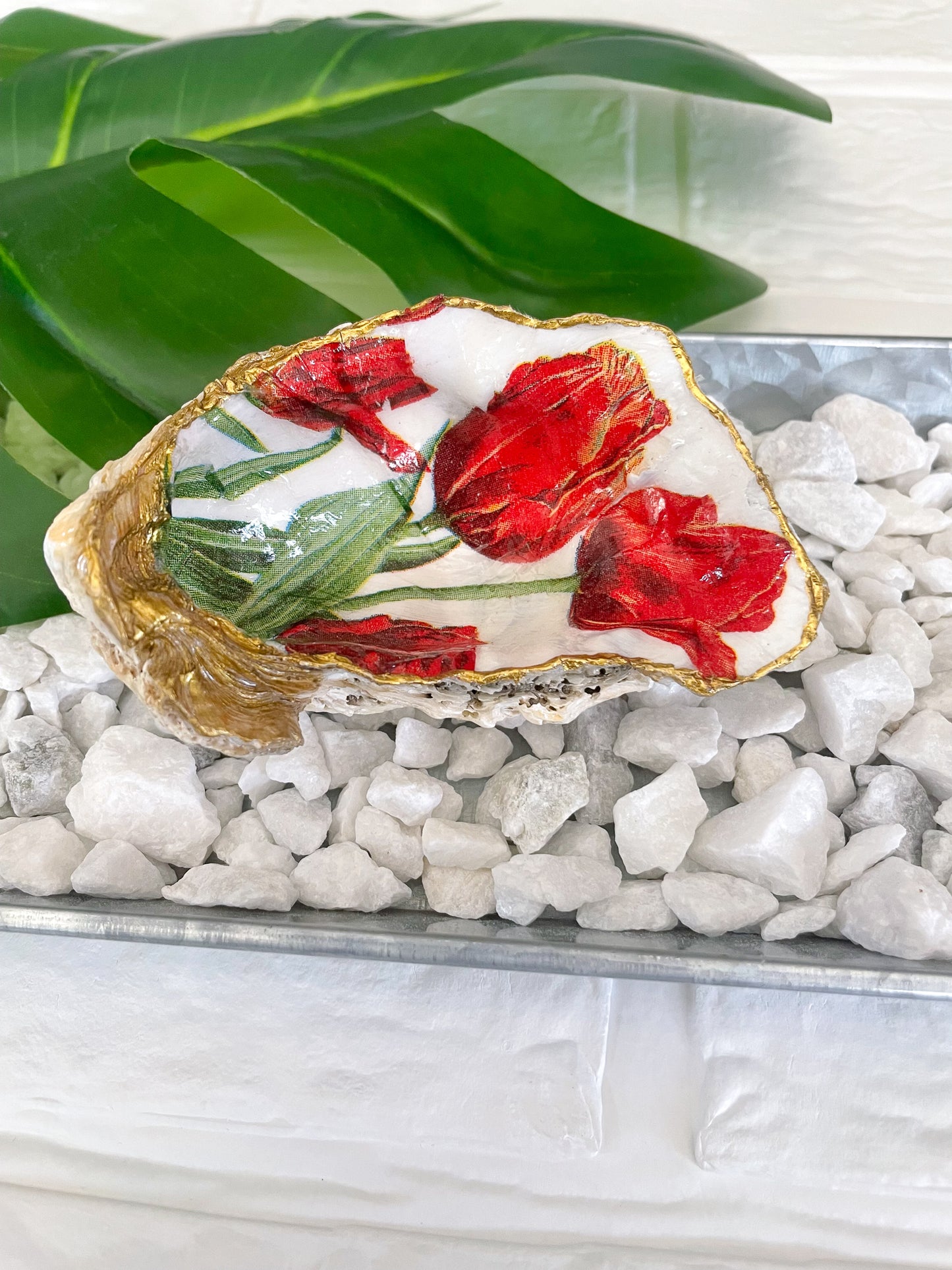 Red Tulip Oyster Shell